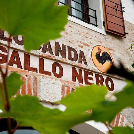 Al Gallo Nero Borgoricco Extérieur photo