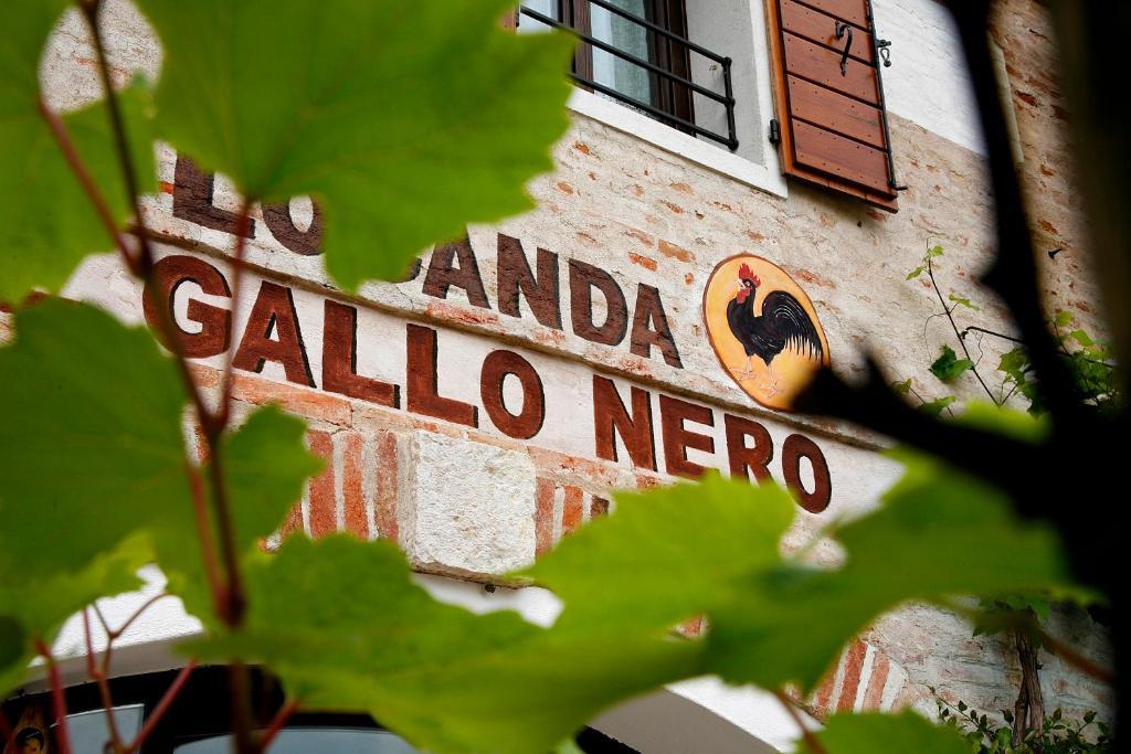 Al Gallo Nero Borgoricco Extérieur photo