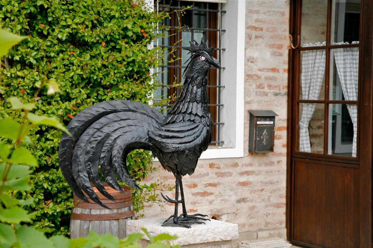 Al Gallo Nero Borgoricco Extérieur photo